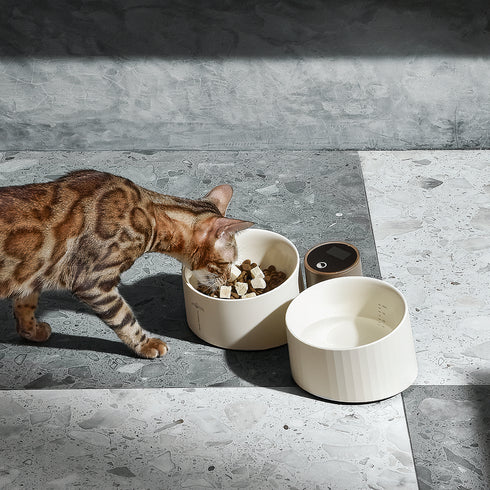 Libra Bowl Duo with Integrated Scale